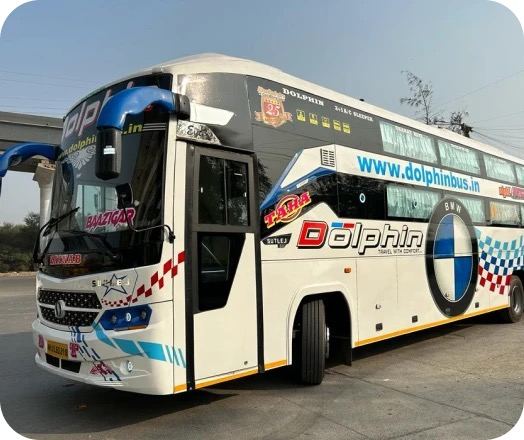 Dolphin Travels Night Bus