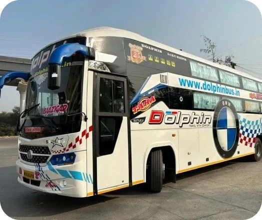Dolphin Travels Night Bus